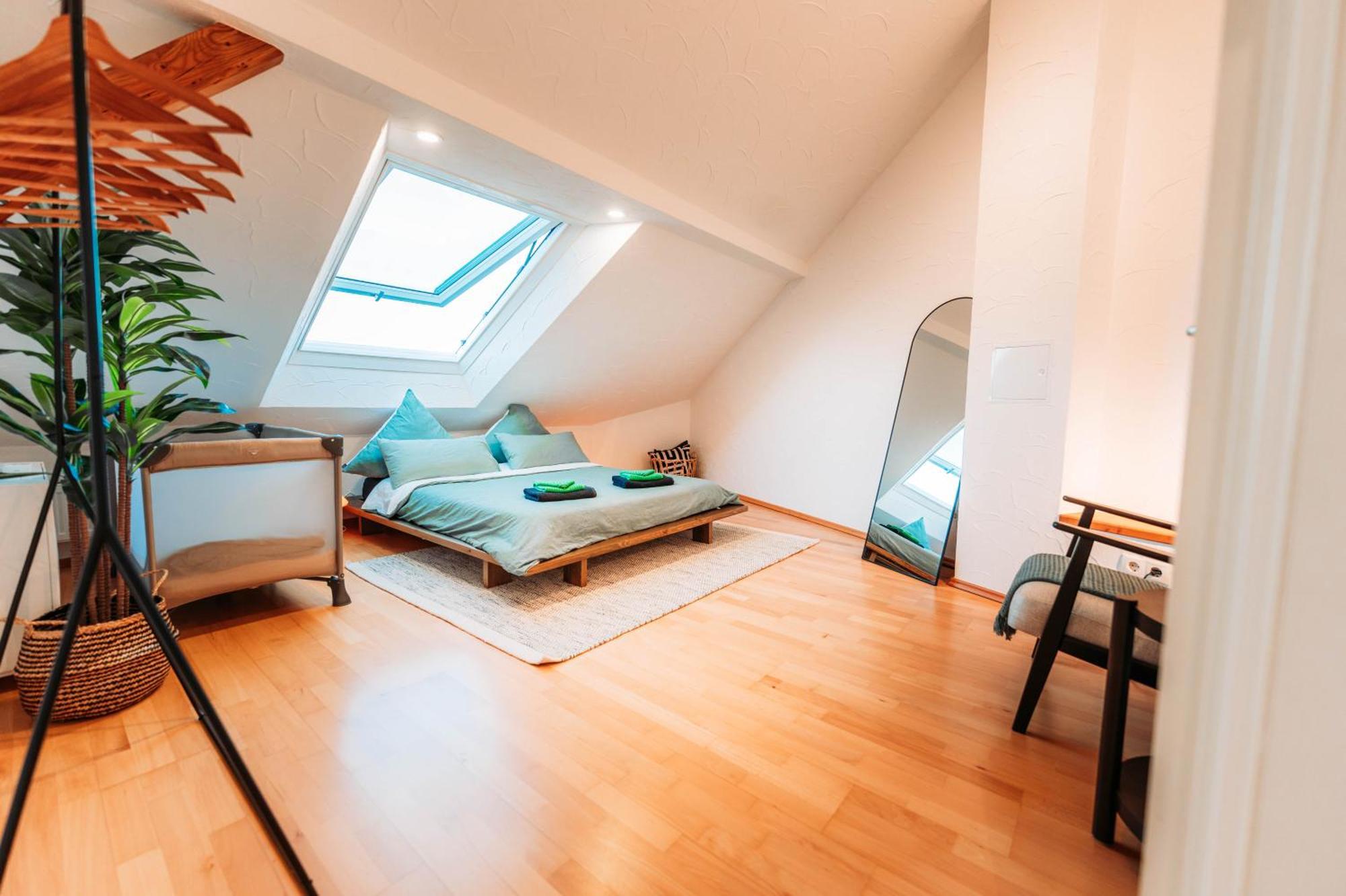 Apartment Spacious Penthouse With Ac And Free Parking Steps Away From The Station Koblenz (Rhineland-Palatinate)